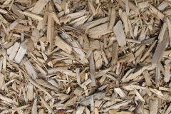 biomass boilers Llanover